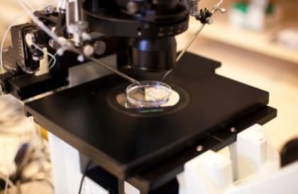 Micromanipulador inova a técnica de fertilização in vitro. Créditos: ShutterStock