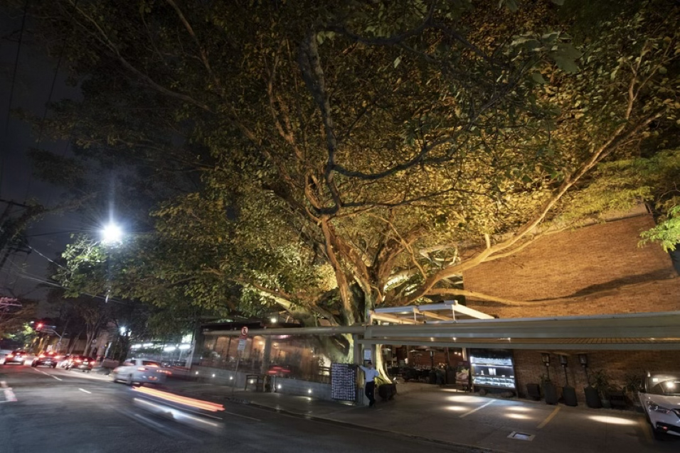 Foto- GBR Comunicação